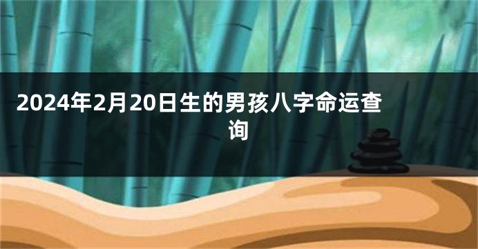 2024年2月20日生的男孩八字命运查询