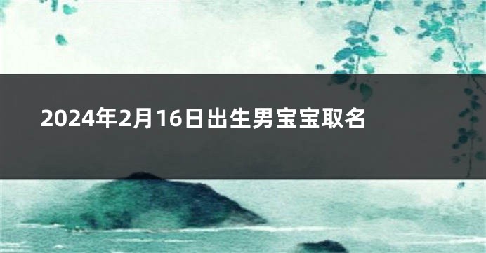 2024年2月16日出生男宝宝取名