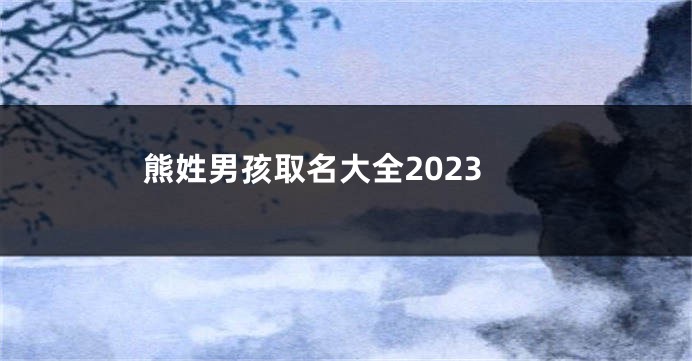 熊姓男孩取名大全2023