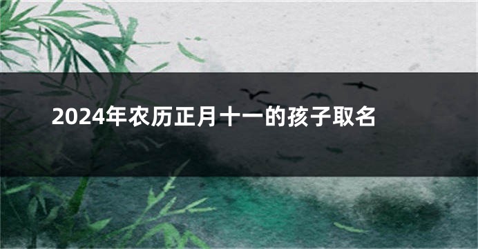 2024年农历正月十一的孩子取名