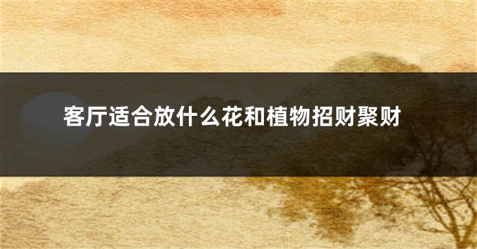 客厅适合放什么花和植物招财聚财