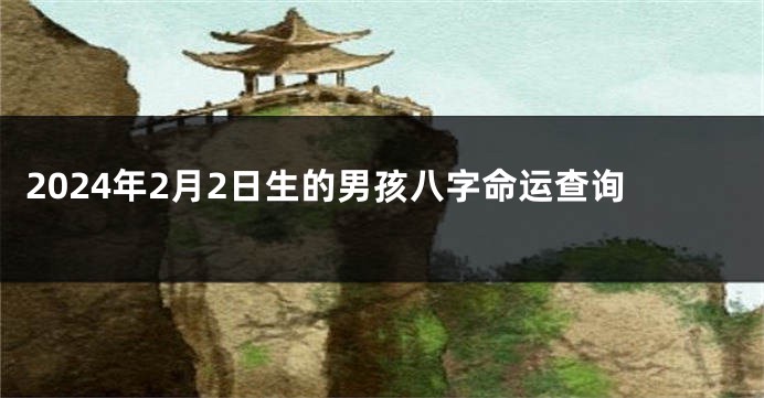 2024年2月2日生的男孩八字命运查询