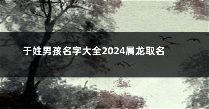 于姓男孩名字大全2024属龙取名