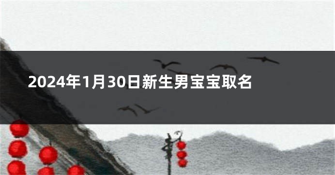 2024年1月30日新生男宝宝取名