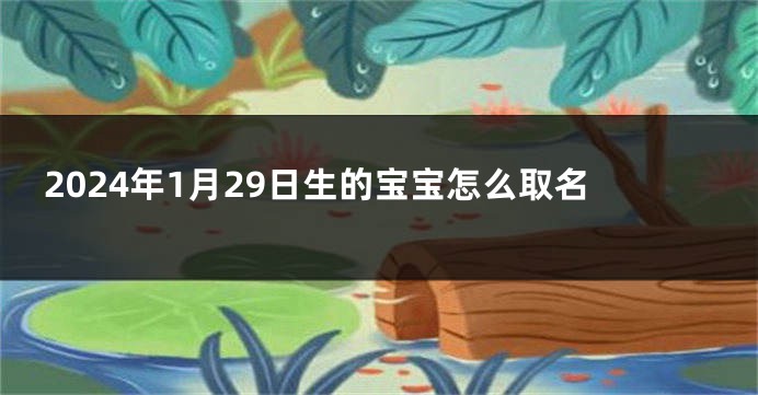 2024年1月29日生的宝宝怎么取名