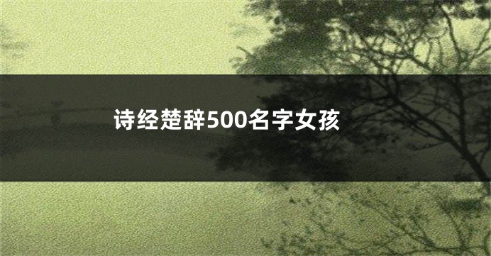 诗经楚辞500名字女孩