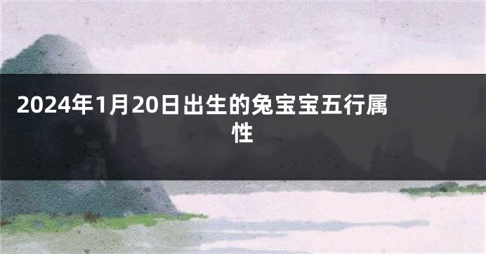 2024年1月20日出生的兔宝宝五行属性