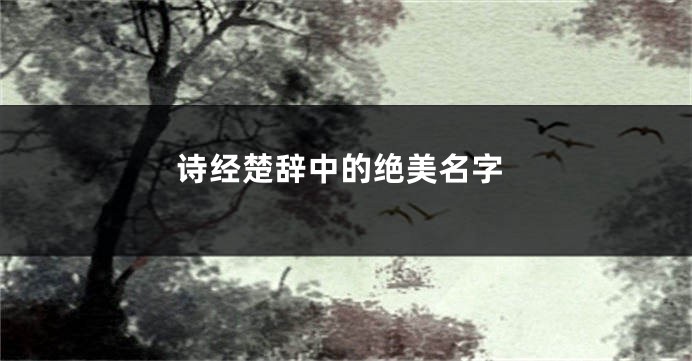 诗经楚辞中的绝美名字