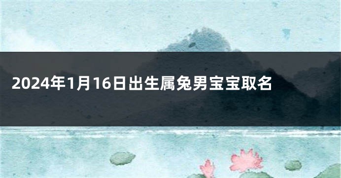 2024年1月16日出生属兔男宝宝取名