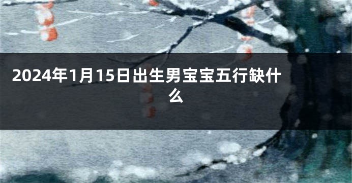 2024年1月15日出生男宝宝五行缺什么