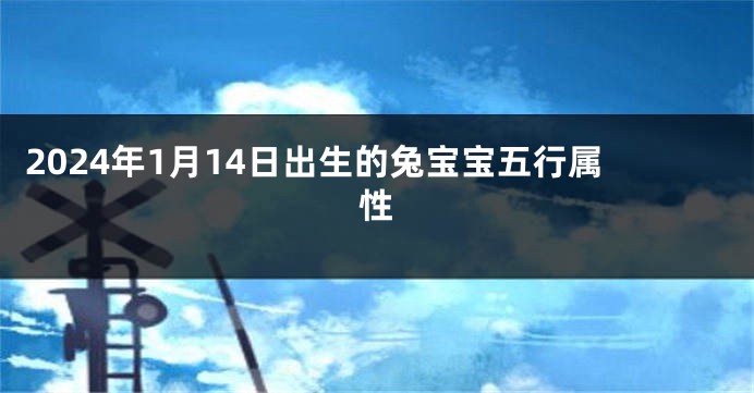 2024年1月14日出生的兔宝宝五行属性