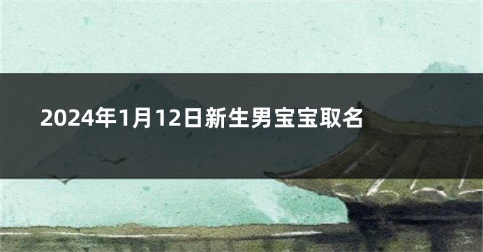 2024年1月12日新生男宝宝取名