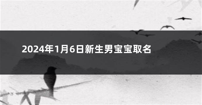 2024年1月6日新生男宝宝取名