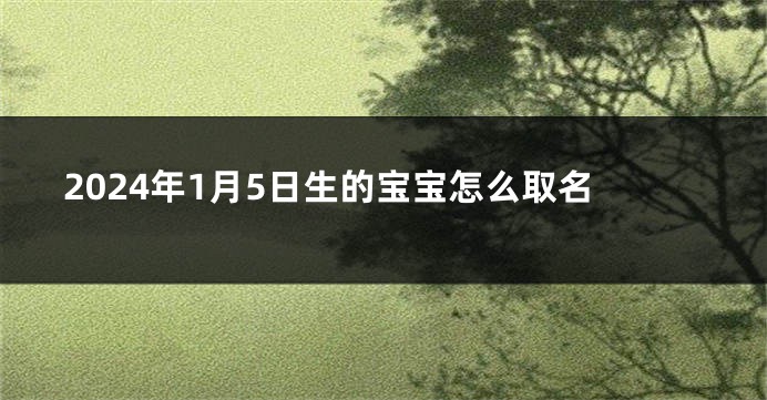 2024年1月5日生的宝宝怎么取名