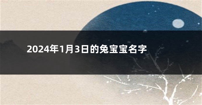 2024年1月3日的兔宝宝名字