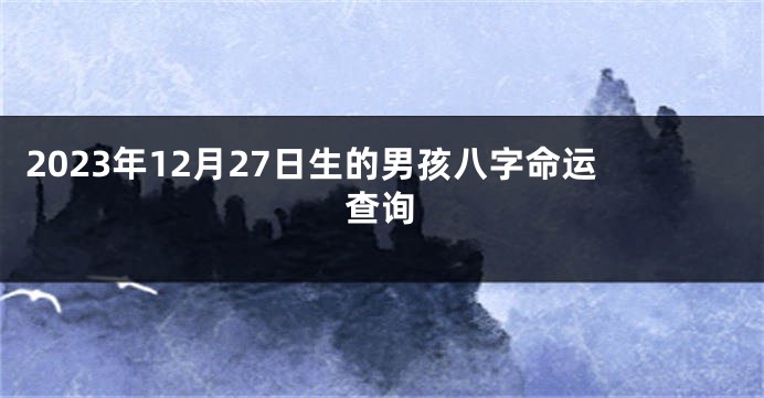 2023年12月27日生的男孩八字命运查询