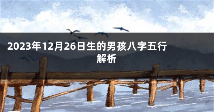 2023年12月26日生的男孩八字五行解析