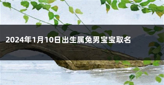 2024年1月10日出生属兔男宝宝取名