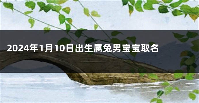 2024年1月10日出生属兔男宝宝取名