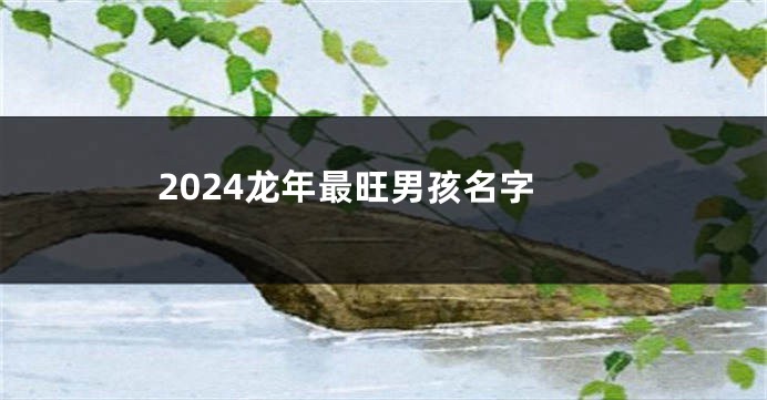 2024龙年最旺男孩名字