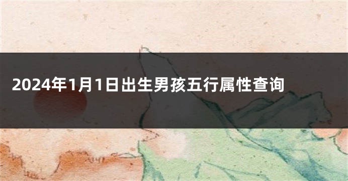 2024年1月1日出生男孩五行属性查询