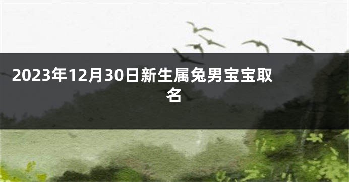 2023年12月30日新生属兔男宝宝取名