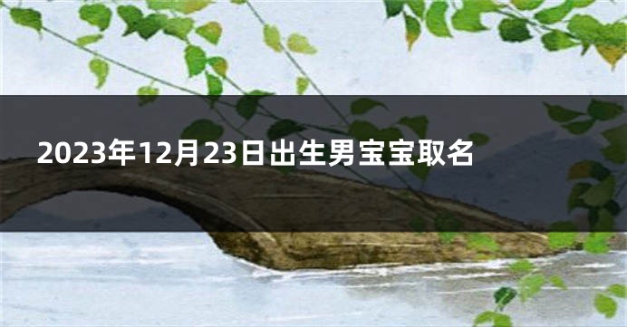 2023年12月23日出生男宝宝取名