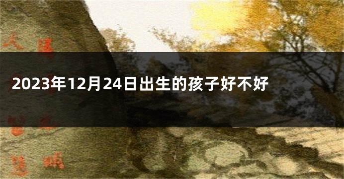 2023年12月24日出生的孩子好不好