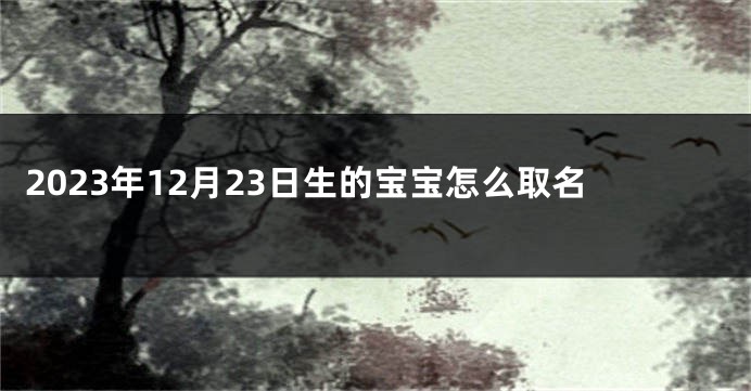 2023年12月23日生的宝宝怎么取名