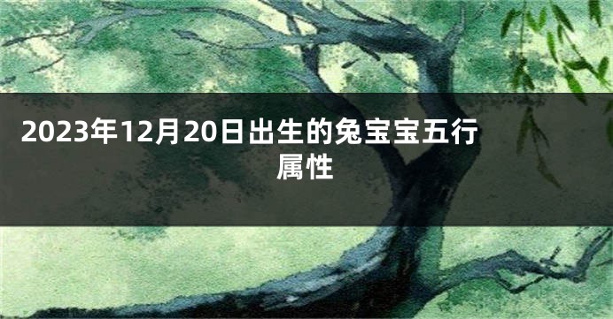 2023年12月20日出生的兔宝宝五行属性