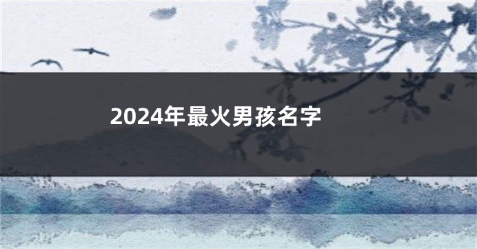 2024年最火男孩名字