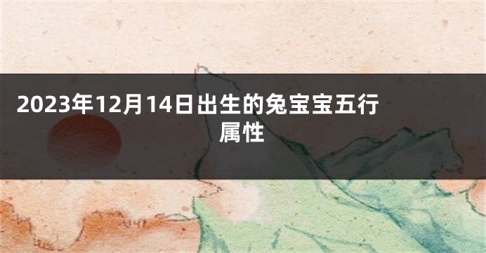 2023年12月14日出生的兔宝宝五行属性