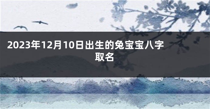 2023年12月10日出生的兔宝宝八字取名