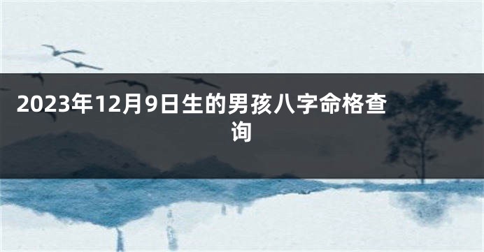 2023年12月9日生的男孩八字命格查询