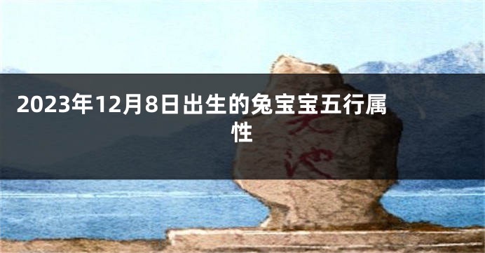 2023年12月8日出生的兔宝宝五行属性