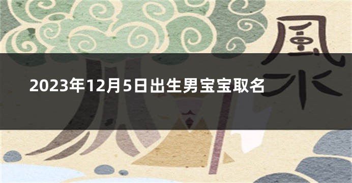 2023年12月5日出生男宝宝取名