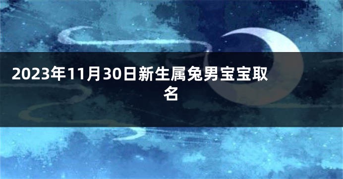 2023年11月30日新生属兔男宝宝取名