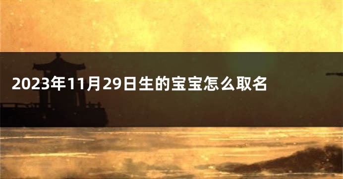 2023年11月29日生的宝宝怎么取名