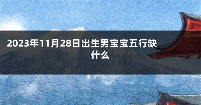 2023年11月28日出生男宝宝五行缺什么