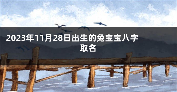 2023年11月28日出生的兔宝宝八字取名