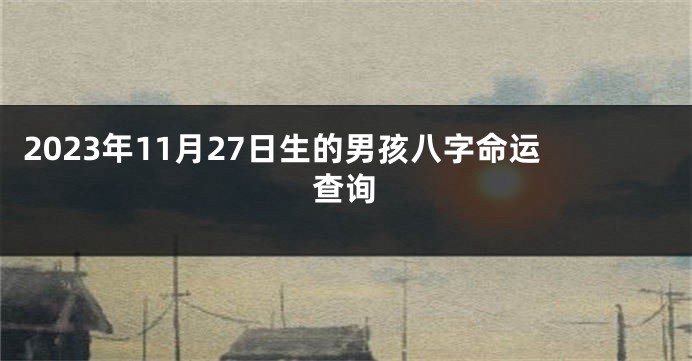 2023年11月27日生的男孩八字命运查询