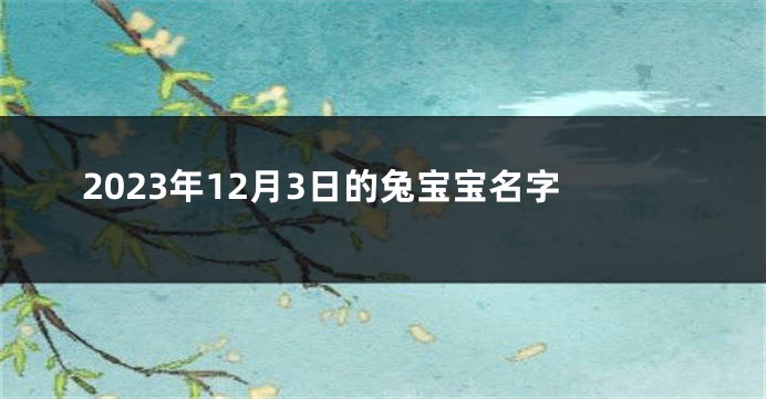 2023年12月3日的兔宝宝名字