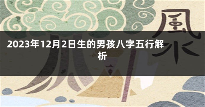 2023年12月2日生的男孩八字五行解析