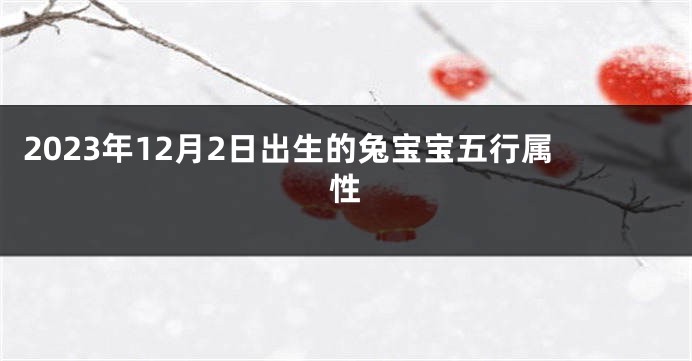 2023年12月2日出生的兔宝宝五行属性