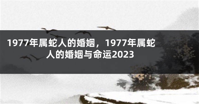 1977年属蛇人的婚姻，1977年属蛇人的婚姻与命运2023