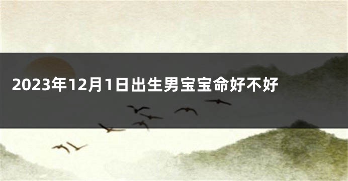 2023年12月1日出生男宝宝命好不好