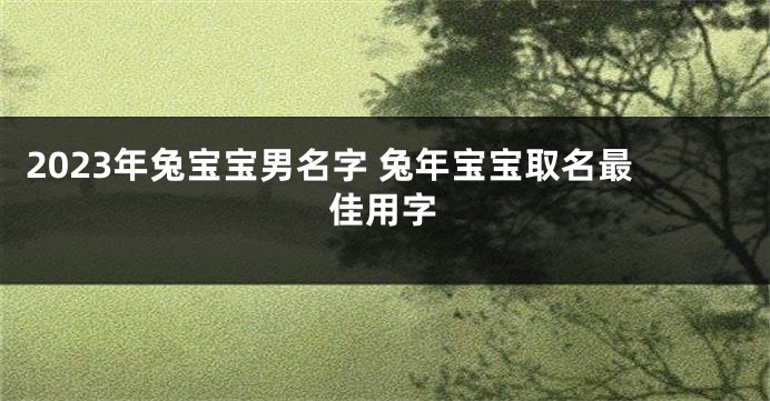 2023年兔宝宝男名字 兔年宝宝取名最佳用字