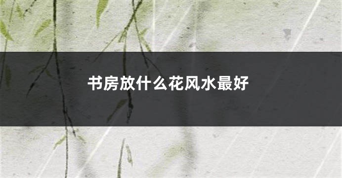 书房放什么花风水最好