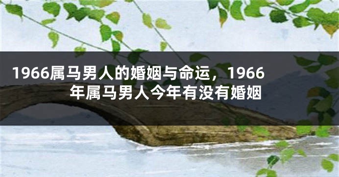 1966属马男人的婚姻与命运，1966年属马男人今年有没有婚姻