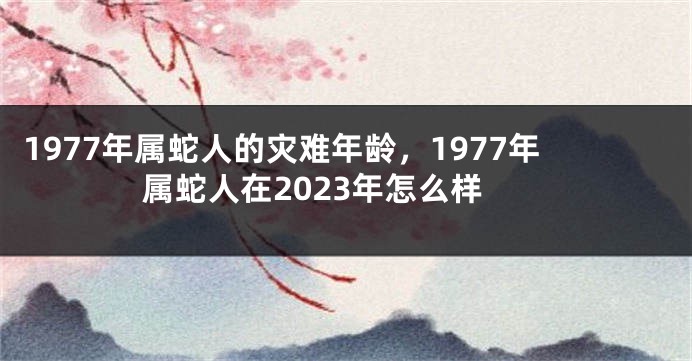 1977年属蛇人的灾难年龄，1977年属蛇人在2023年怎么样